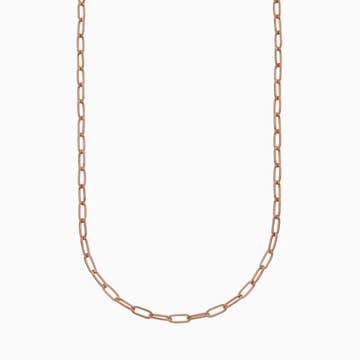 Paperclip Necklace in Rose Gold