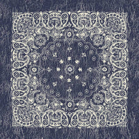 Rustic Navy Paisley Bandanna