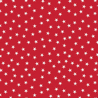 Twinkle Stars Red Bandanna