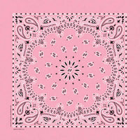 Light Pink Paisley Bandanna